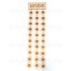 Ramadan Lunar Cycle Calendar